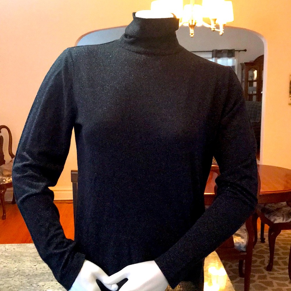J. Crew Size L LS sparkly glitter top.